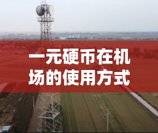 一元硬币在机场的使用方式主要通过一元硬币来支付机场附近的费用，如商店、餐厅等。这种支付方式具有以下特点