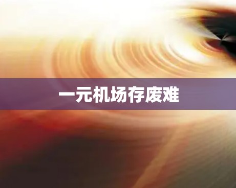 一元机场存废难