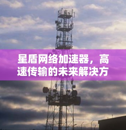 星盾网络加速器，高速传输的未来解决方案