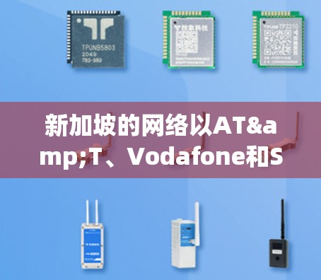 新加坡的网络以AT&T、Vodafone和Sprint运营，提供DPSK和IPSec加密。用户需遵守新加坡的网络安全法规，确保访问安全
