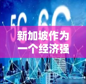 新加坡作为一个经济强国，拥有广泛的国际影响力，其海外连接主要体现在以下几个方面