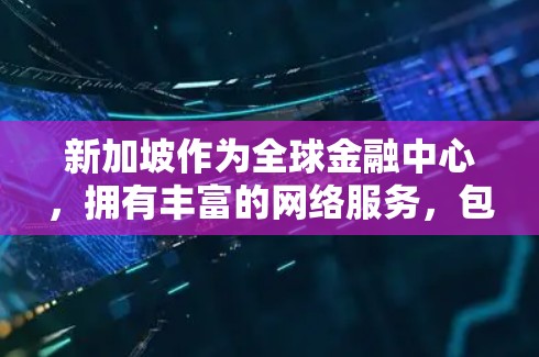 新加坡作为全球金融中心，拥有丰富的网络服务，包括VPN，这为企业和学术研究提供了便利。新加坡的VPN服务器在网络安全和使用体验方面表现出色，但也面临网络安全威胁。以下是对新加坡VPN服务器的详细分析