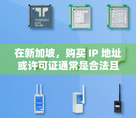 在新加坡，购买 IP 地址或许可证通常是合法且合规的。以下是一些关于如何购买 IP 地址或许可证的建议
