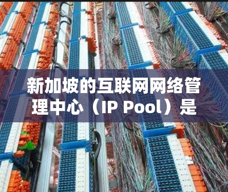 新加坡的互联网网络管理中心（IP Pool）是一个专门用于新加坡互联网的IP地址池，旨在进行内容管理、网络监控和流量管理等任务。以下是关于新加坡IP池的一些基本信息