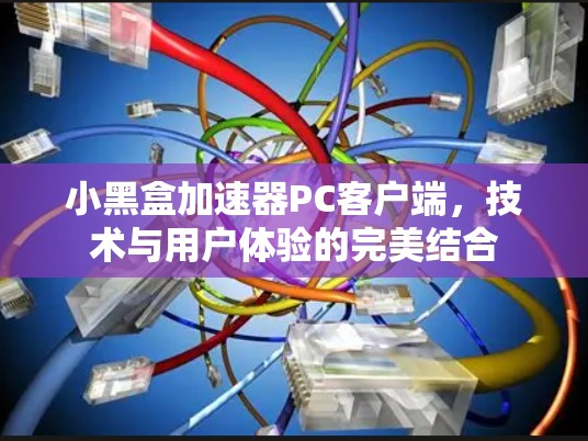 小黑盒加速器PC客户端，技术与用户体验的完美结合