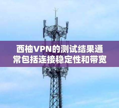 西柚VPN的测试结果通常包括连接稳定性和带宽测试结果，这些指标帮助用户评估网络性能。以下是详细的分析和建议