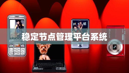稳定节点管理平台系统