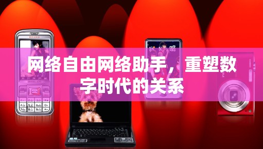 网络自由网络助手，重塑数字时代的关系