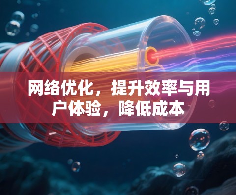 网络优化，提升效率与用户体验，降低成本