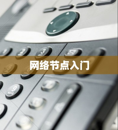 网络节点入门
