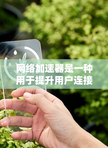 网络加速器是一种用于提升用户连接到互联网速度的工具。以下是根据多种因素对几个知名网络加速器进行的排行总结