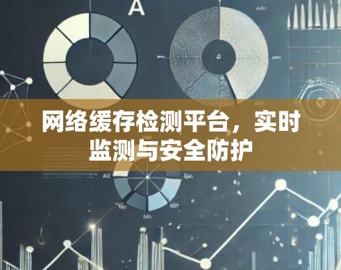 网络缓存检测平台，实时监测与安全防护