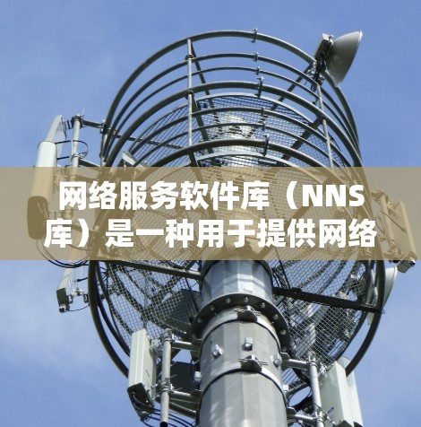 网络服务软件库（NNS库）是一种用于提供网络服务的软件库，广泛应用于开发和管理网络应用。以下是对NNS库的详细总结