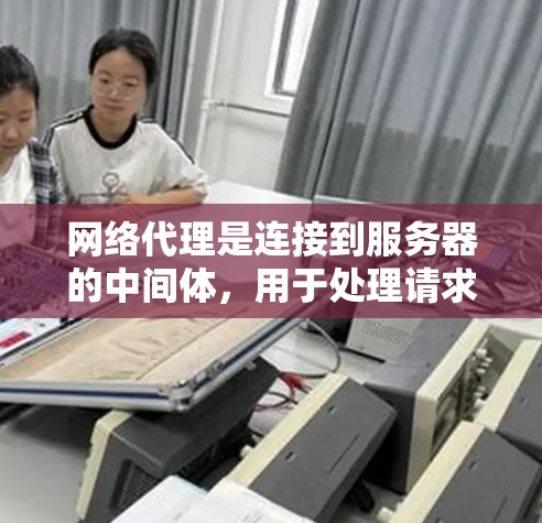 网络代理是连接到服务器的中间体，用于处理请求和提供服务，如访问网站、管理用户、备份数据等。以下是关于网络代理的详细指南