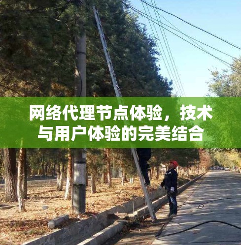 网络代理节点体验，技术与用户体验的完美结合