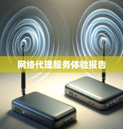 网络代理服务体验报告