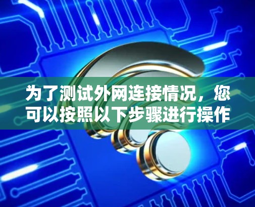 为了测试外网连接情况，您可以按照以下步骤进行操作