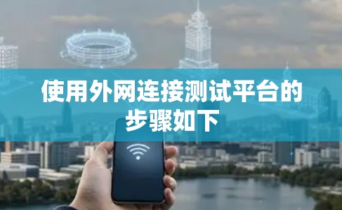使用外网连接测试平台的步骤如下