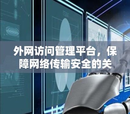 外网访问管理平台，保障网络传输安全的关键平台