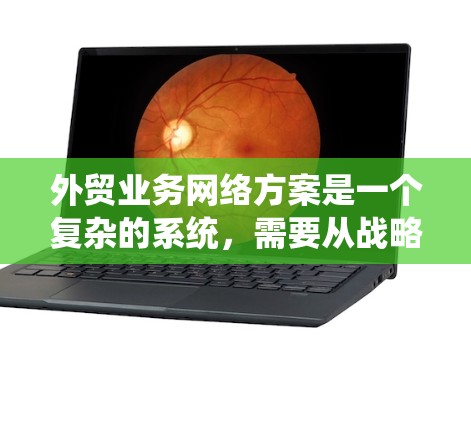 外贸业务网络方案是一个复杂的系统，需要从战略规划、运营管理、客户关系、法律合规等多个方面进行全面考虑。以下是对外贸业务网络方案的建议，供您参考